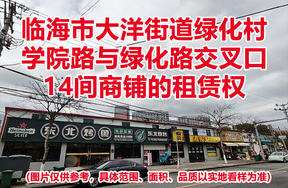 临海市大洋街道绿化村学院路与绿化路交叉口14间商铺的租赁权